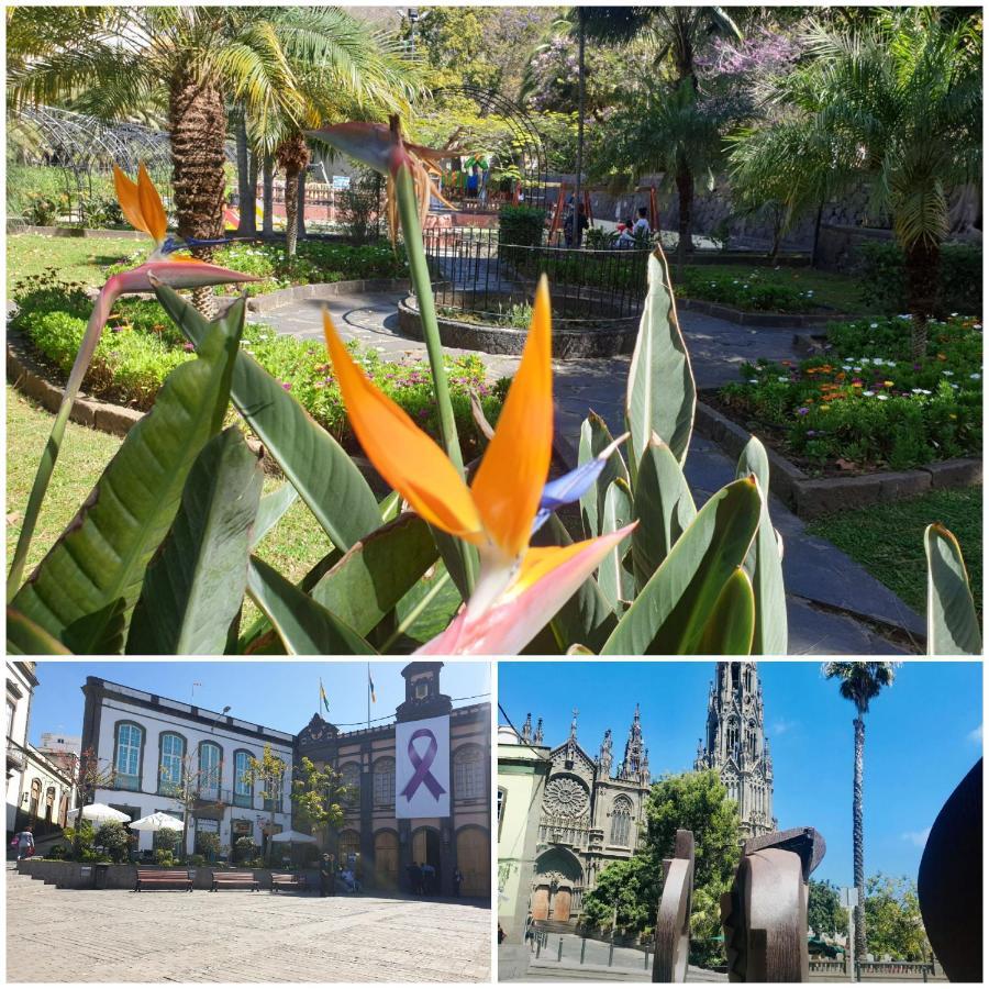 Casa Isabel Centro Historico Villa Arucas Dış mekan fotoğraf