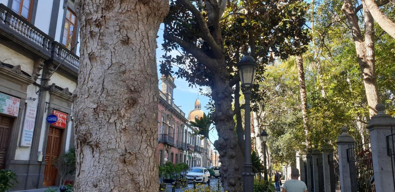Casa Isabel Centro Historico Villa Arucas Dış mekan fotoğraf