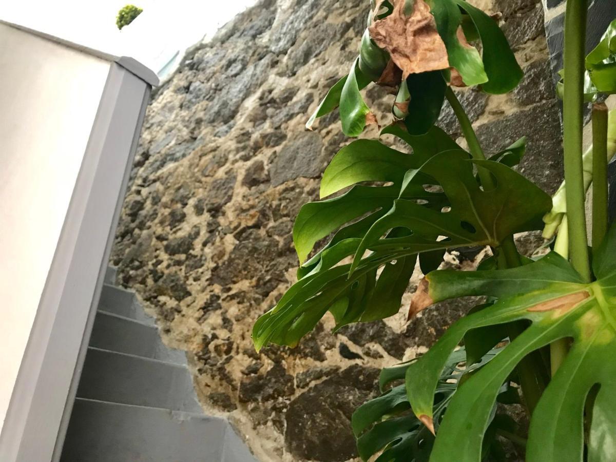 Casa Isabel Centro Historico Villa Arucas Dış mekan fotoğraf